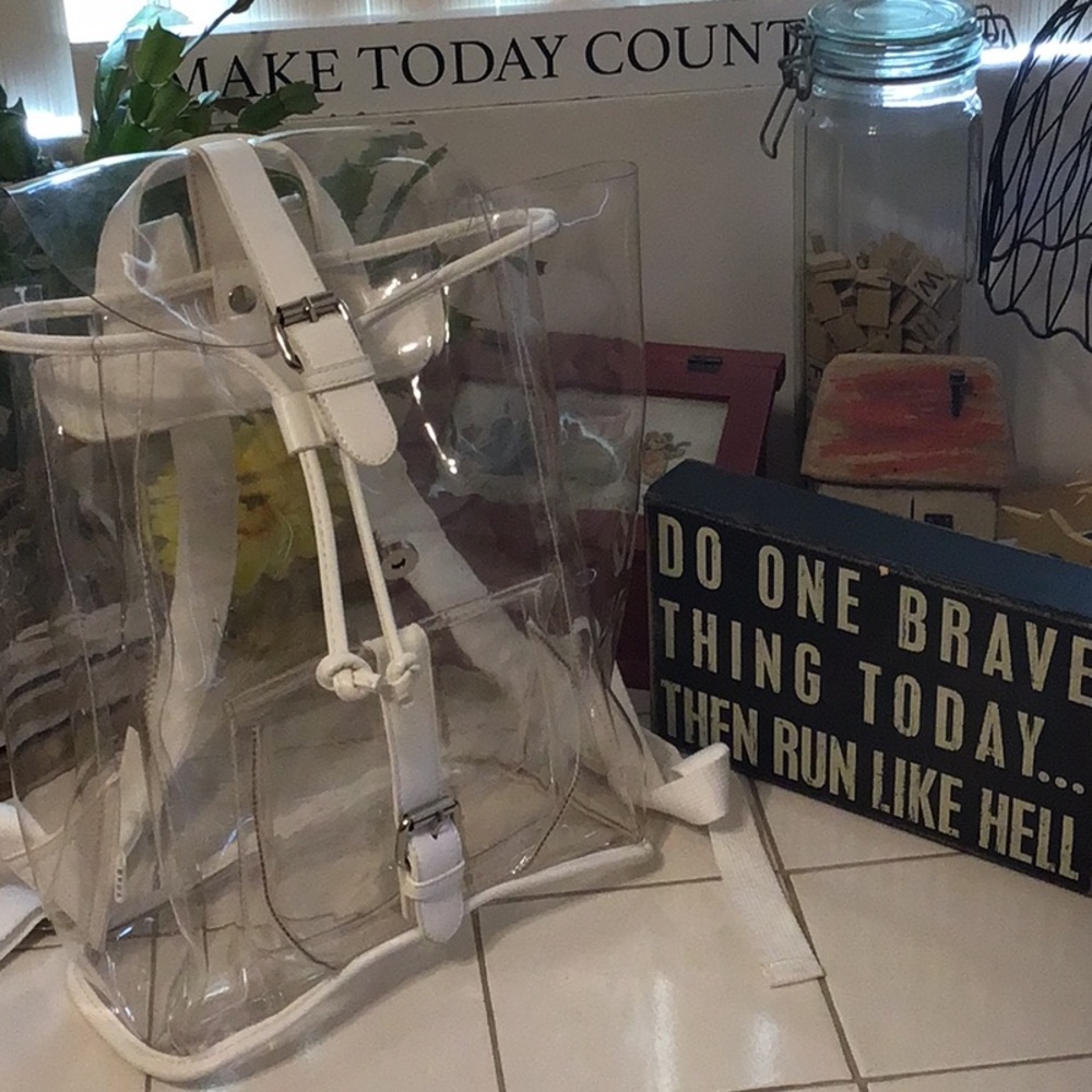‘BOTA’ Large Clear Backpack